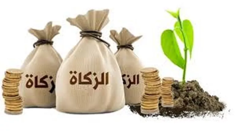 عدم إعطاء الأصول للفروع .. قاعدة تحكم توزيع الزكاة على الأقارب