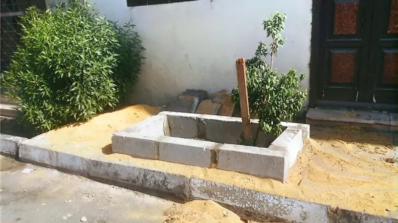 انشاء ٤٠ حوض بساتين لزراعتها بالأشجار بشارع مدرسة الفنون بالأقصر