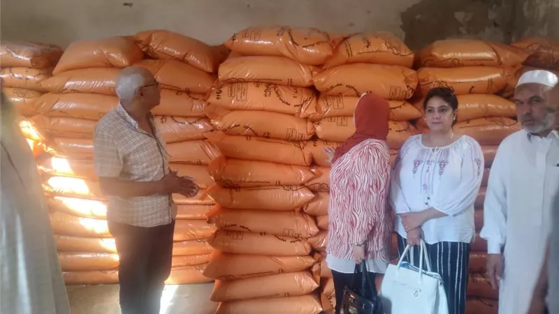 2 شيكارة سماد لكل فدان منزرع بالأسكندرية