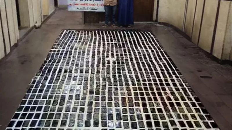 سقوط 14 من معلمين الكيف بمخدرات قيمتها 21 مليون جنيه في3 محافظات