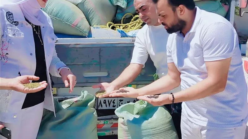 تموين مطروح تضبط 2 طن فلفل وكمون مغشوش