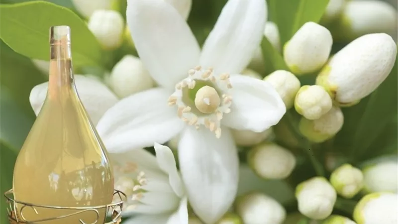 استخدمات ماء الزهر للبشرة