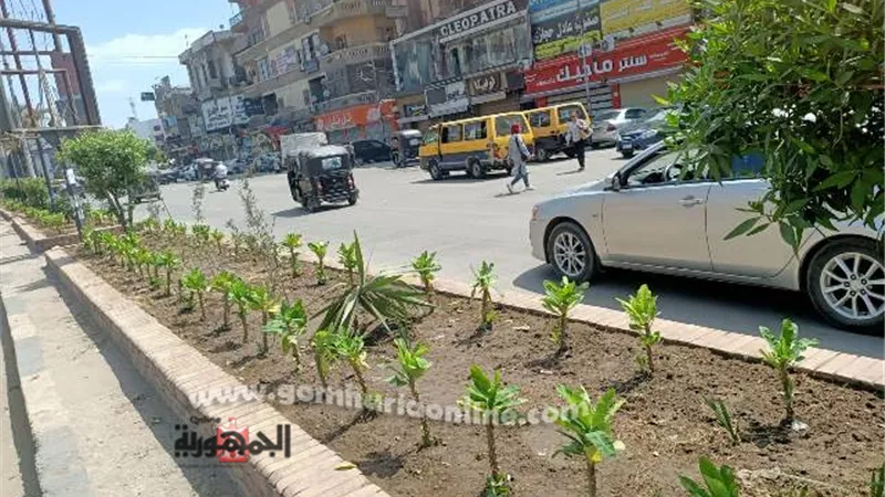 محافظ الغربية يتابع زراعة 3239 شجرة بالمحلة