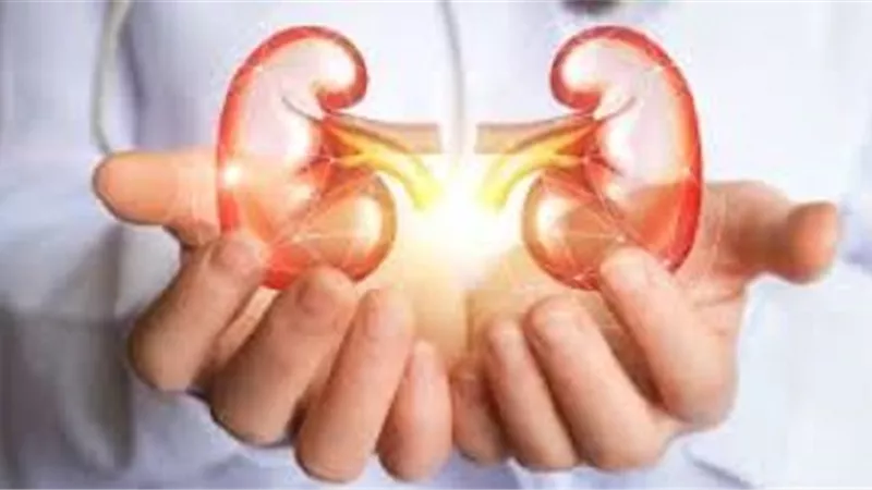 4 طرق طبيعية لتطهير الكلى