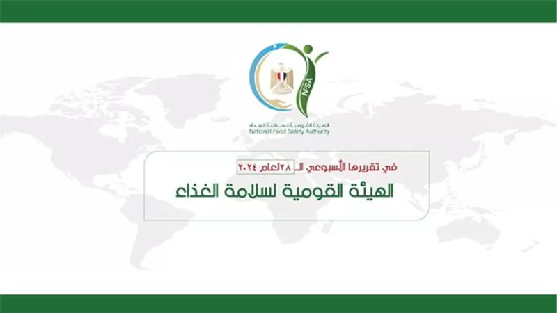 175 ألف طن صادرات غذائية و4 دول عربية على رأس المستوردين