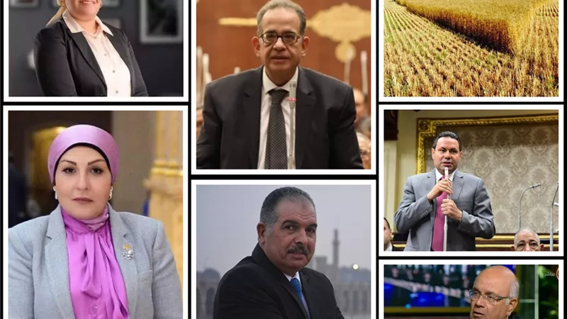 قيادات وأعضاء البرلمان: توفير الأمن الغذائي يحقق انضباط الأسواق ويقلل فاتورة الاستيراد