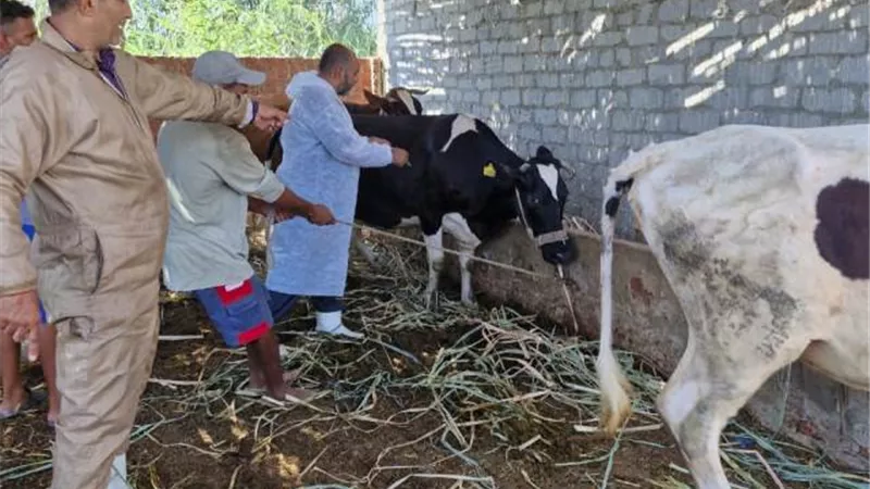 التأمين على ٣٥ حيوان والمرور على ١٤ منشأة بيطرية بالاسماعيلية