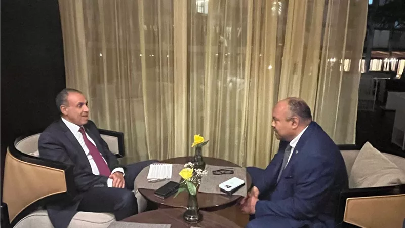 وزير الخارجية والهجرة والمصريين بالخارج يلتقي وزير خارجية تنزانيا