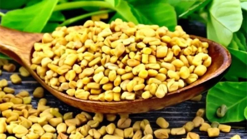 فوائد الحلبة للشعر