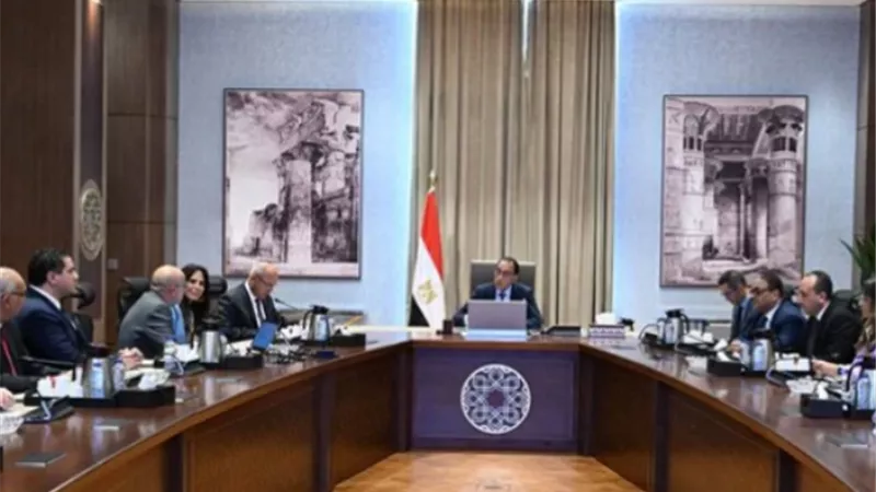 مدبولي يلتقي مسؤولي