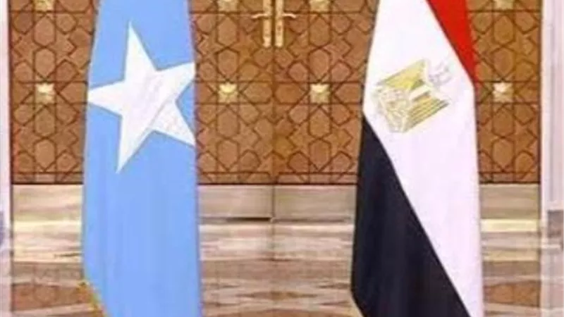 الرئيس الصومالي يقوم بزيارة رسمية لمصر مساء يلتقي خلالها الرئيس السيسي