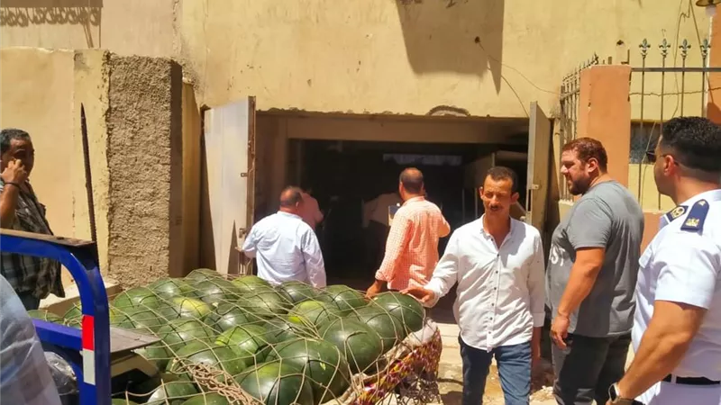 جهاز مدينة العبور يتصدى لنباشي القمامة ويزيل الباعة الجائلين