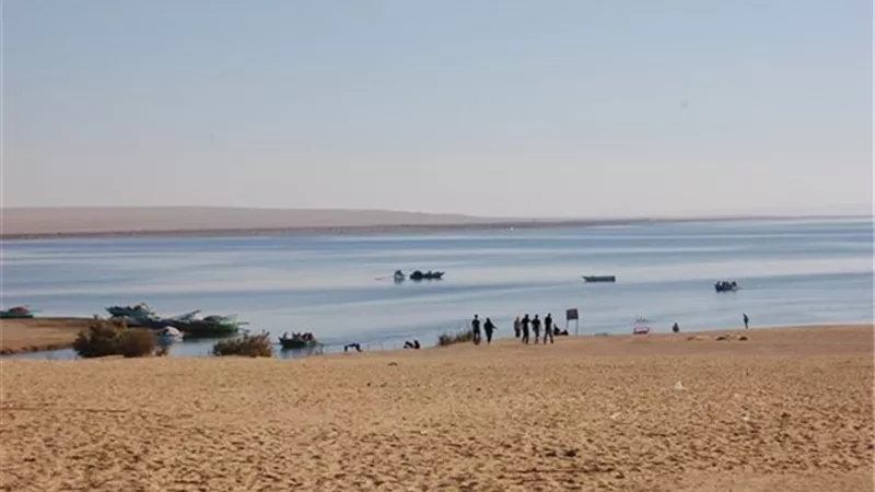 إلقاء زريعة جمبري في بحيرة قارون للمرة الأولى منذ سنوات