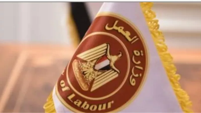 وزارة العمل: حملة تفتيش لتطبيق أحكام القانون على الجامعات بالمنيا