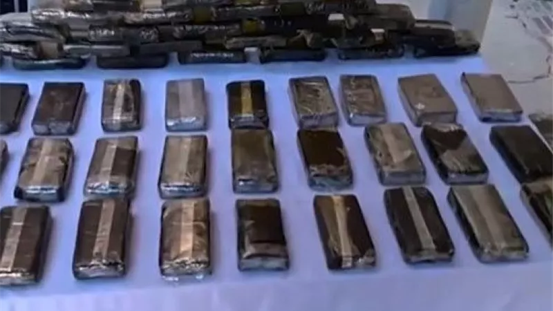 23 كيلو حشيش بمليوني جنيه بحوزة عنصر إجرامى خطير بالغربية