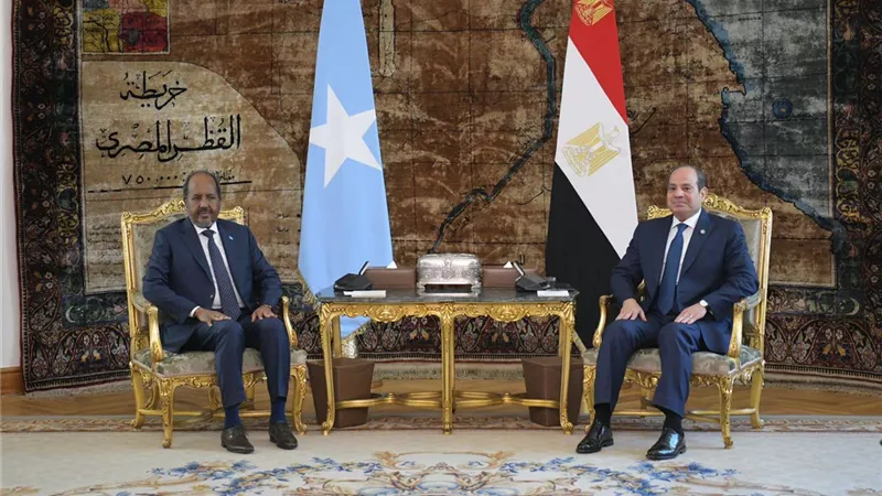 السيسي: مصر تتولى قيادة مجلس السلم والأمن الإفريقي أكتوبر المقبل