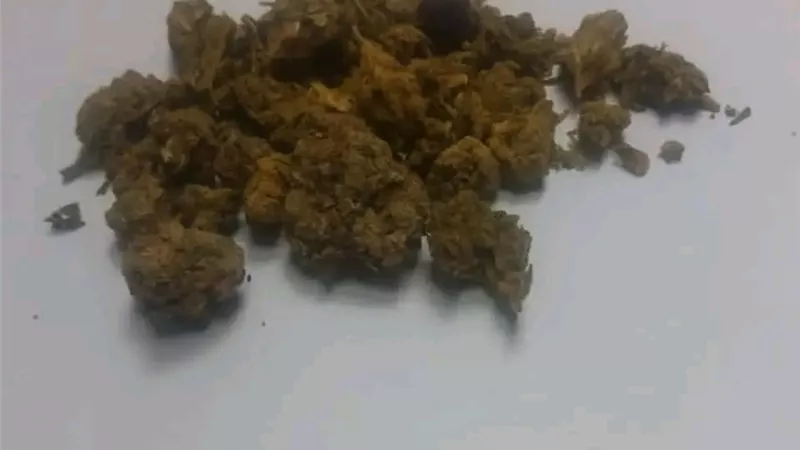 جمارك مطار الغردقة الدولى تضبط كمية من نبات الماريجوانا المخدر