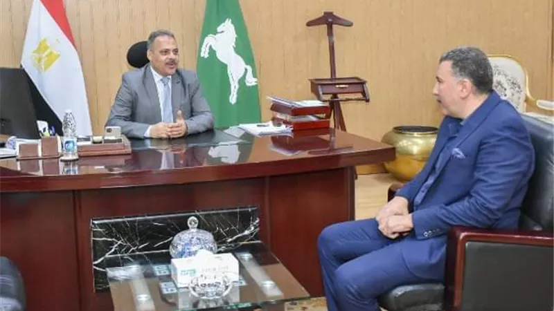 محافظ الشرقية يلتقي رئيس قطاعات كهربا والمدن الجديدة