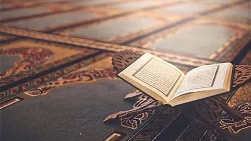 أنوار قرآنية..سورة الاستجابة