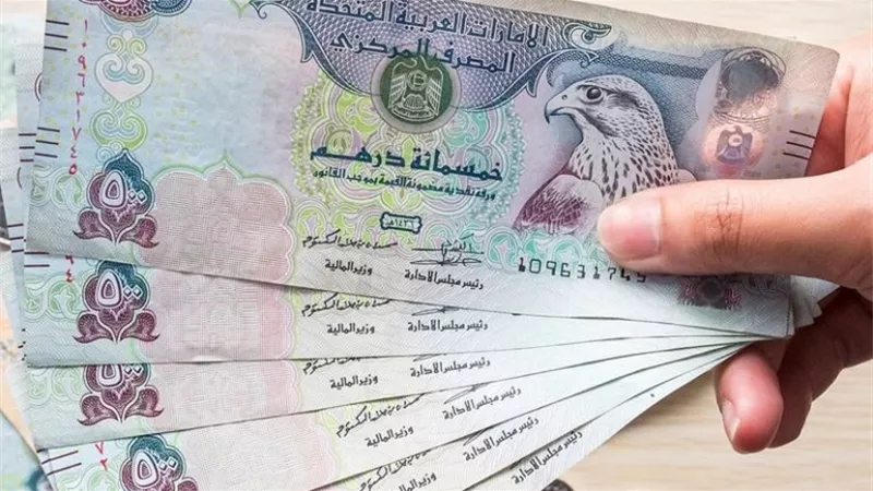 13.30 جنيه.. أسعار الدرهم الإماراتي أمام الجنيه المصري