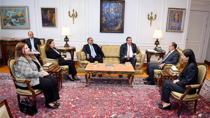 وزير الخارجية يستقبل وفد لجنة العلاقات الخارجية بمجلس الشيوخ