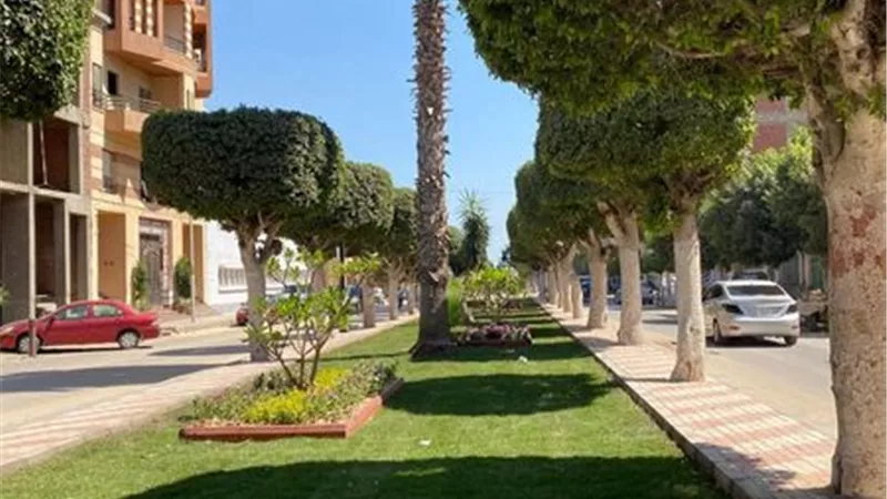تحويل شارع عرابي لممشى عام متنفس جديد لأهالي الإسماعيلية..صور
