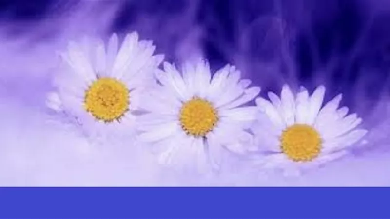 اللهم انا نسألك طمأنينة لا تُغادر صدورنا وقلوبنا وهدوء لأنفسنا
