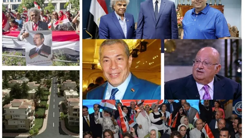 التحالف الدولى للمصريين فى الخارج.. قوة جديدة لخدمة الطيور المهاجرة