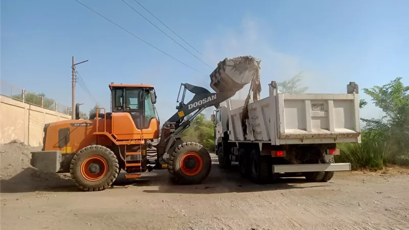 رفع ١٠ أطنان قمامة وتهذيب الأشجار بأرمنت جنوب الأقصر