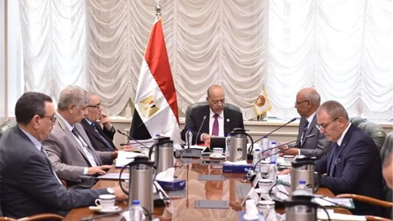 وزير العمل: إنفاق 236 مليون جنيه لتطوير منظومة التدريب والتأهيل