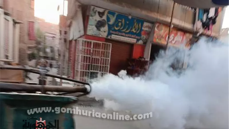 الشرقية تكثف جهودها في مكافحة الذباب والبعوض وناقلات الأمراض
