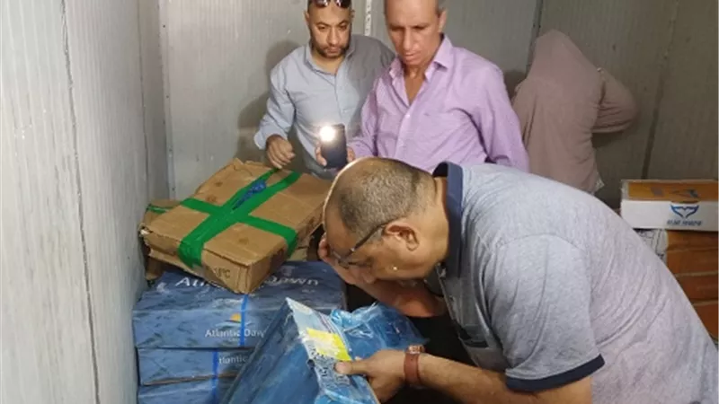 محافظ كفرالشيخ: ضبط 604.5 كجم أسماك ولحوم غير صالحة للإستهلاك