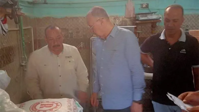 ضبط 9 أطنان و500 كيلو مخللات وأعلاف مجهولة المصدر بالشرقية