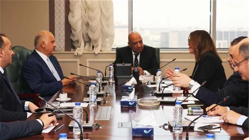 عصمت يبحث ووفد برلمانى تغليظ عقوبة سرقة التيار الكهربائى