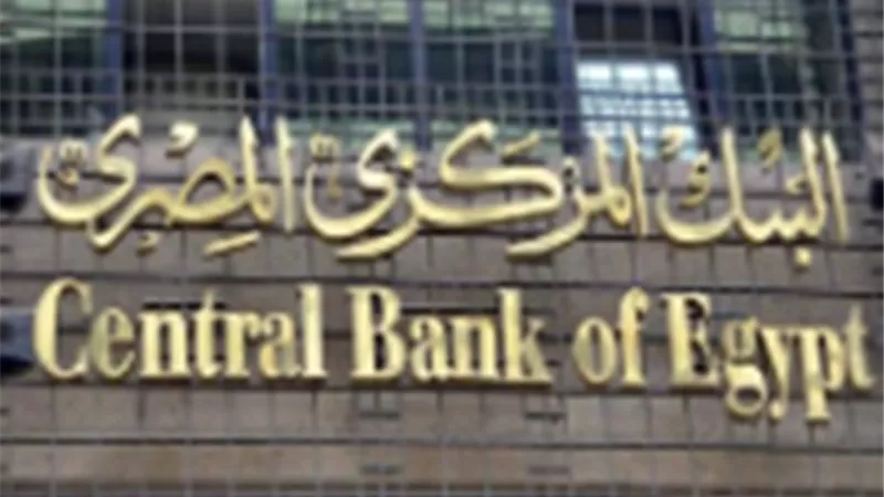 البنك المركزي يستضيف برنامجًا تدريبيًا حول تحليل البيانات الضخمة والذكاء الاصطناعى