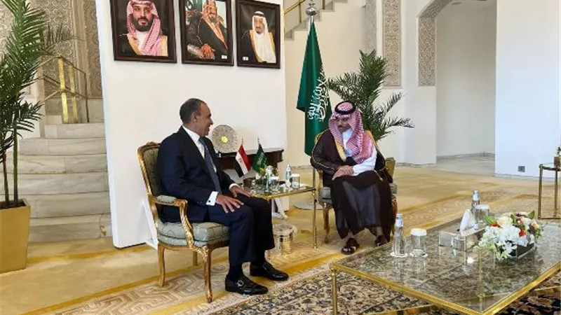 وزير الخارجية يعقد جلسة مباحثات مع نظيره السعودي بالرياض