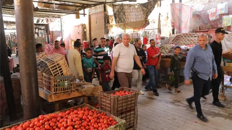 محافظ الوادي الجديد يطمئن على توافر السلع الغذائية بالأسواق