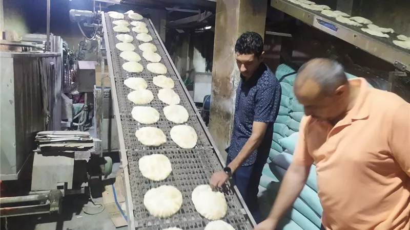 محافظ الغربية يتابع الحملات التفتيشية المفاجئة على المخابز
