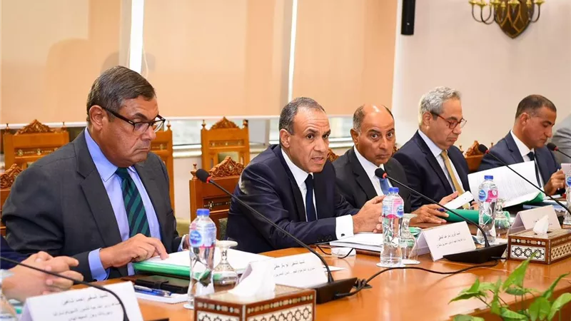 وزير الخارجية يترأس اجتماع الوكالة المصرية للشراكة من أجل التنمية