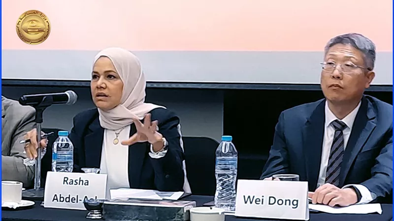 الضرائب: ٢٠٦٦ شركة صينية تعمل في مصر باستثمارات ٨ مليارات دولار