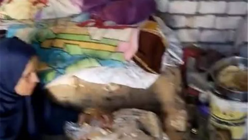 حياة آدمية