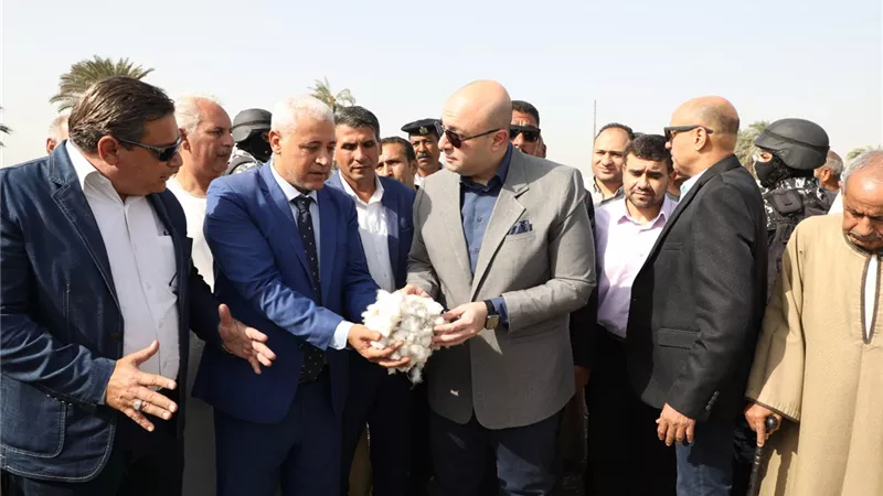 محافظ بني سويف يفتتح موسم جني القطن