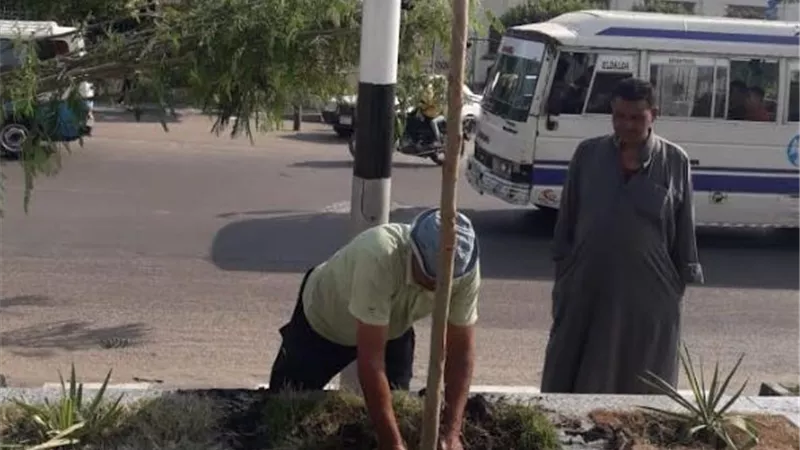 الشرقية تشكل لجنة للحفاظ على الأشجار حفاظا على البيئة