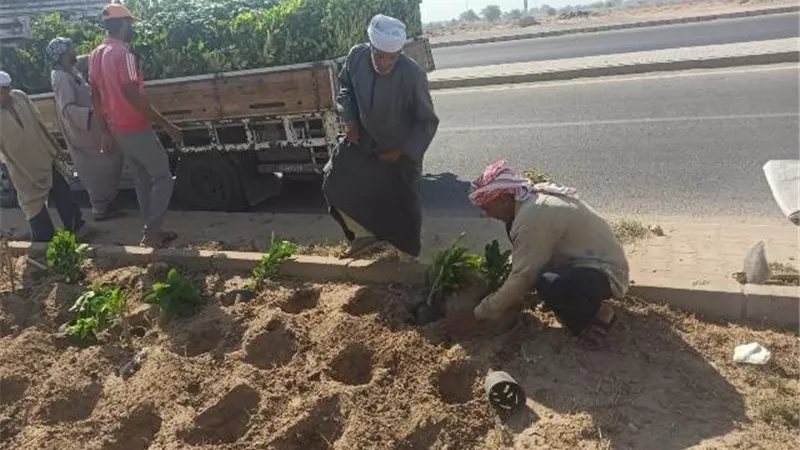 رئيس جهاز سوهاج الجديدة يكشف عن أحدث أعمال الزراعة فى المدينة صور