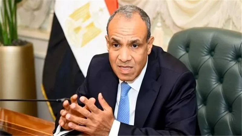 وزير الخارجية: الدولة حريصة على الاستفادة من خبرات أبنائها في 