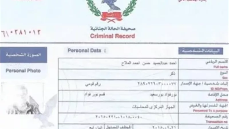 استخرج فيش وتشبيه عادى ومميز من مولات القاهرة والجيزة