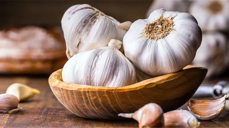 تعرف على كيفية استخدام الثوم في علاج البثور وحب الشباب