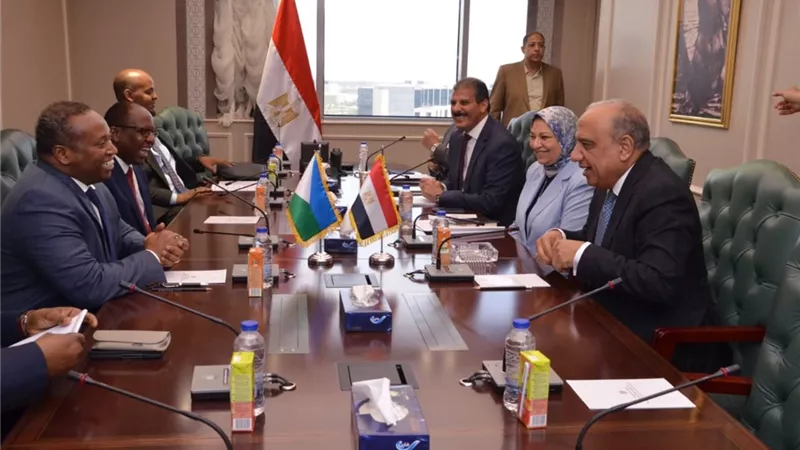عصمت: مستعدون لتلبية احتياجات جيبوتي في مجالات الكهرباء