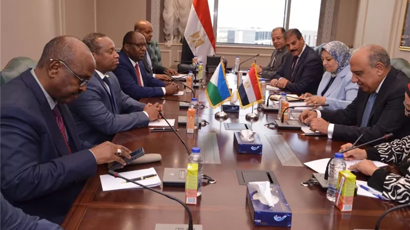 الخيرات المصريه فى الكهرباء لخدمة الأشقاء في جيبوتي