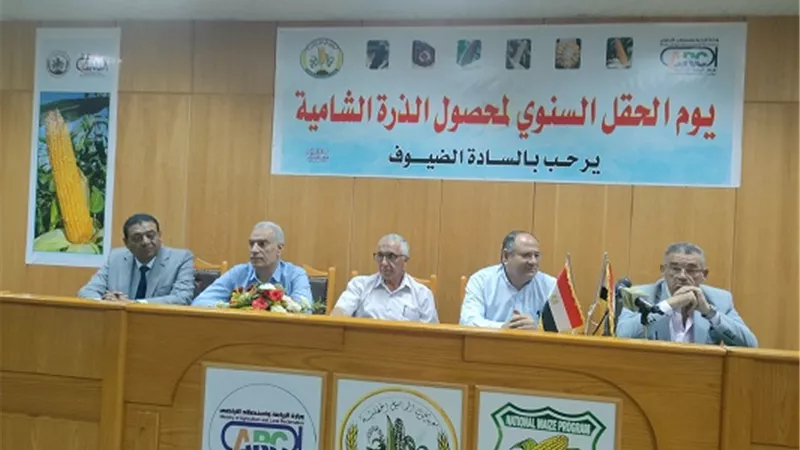 احتفال بيوم الحصاد لمحصول الذرة الشامية بمحطة البحوث فى سخا